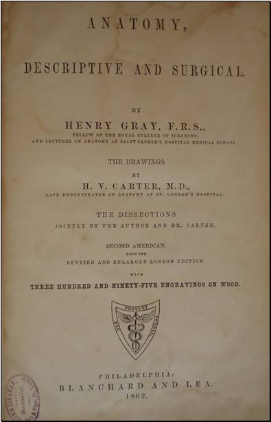 civil war medical books
